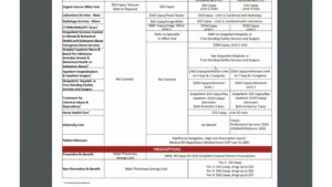 Atlas Enhanced Plan Overview