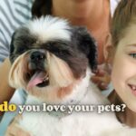 Perfect Pets Program! From Savings Highway Global!  Who do you know who loves their pets like Family