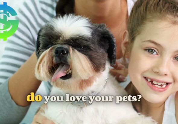 Perfect Pets Program! From Savings Highway Global!  Who do you know who loves their pets like Family